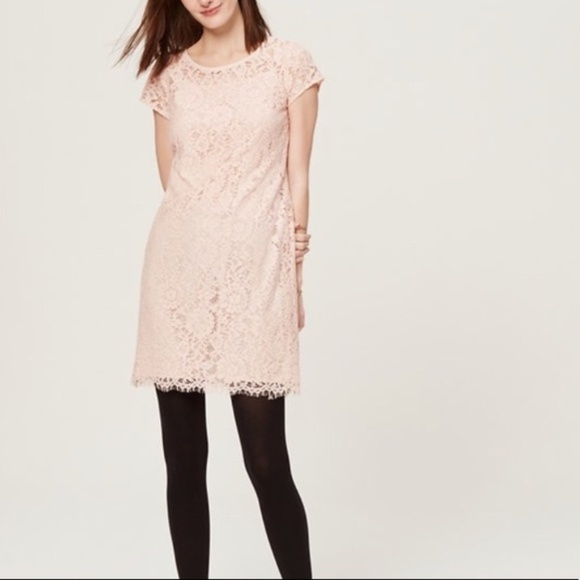 LOFT Dresses & Skirts - LOFT Blush Pink Lace Overlay Dress